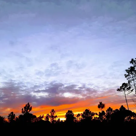 Sublime Sun & - By Meco Alfarim