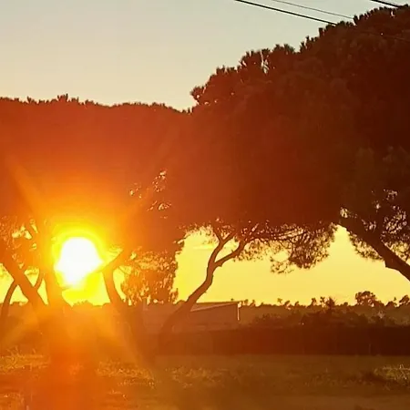 Sublime Sun & - By Meco Gasthof Alfarim