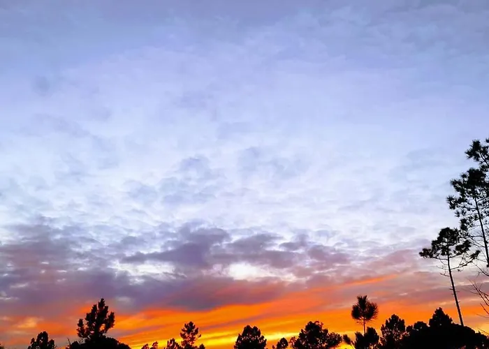 Sublime Sun&van - By Meco Alfarim