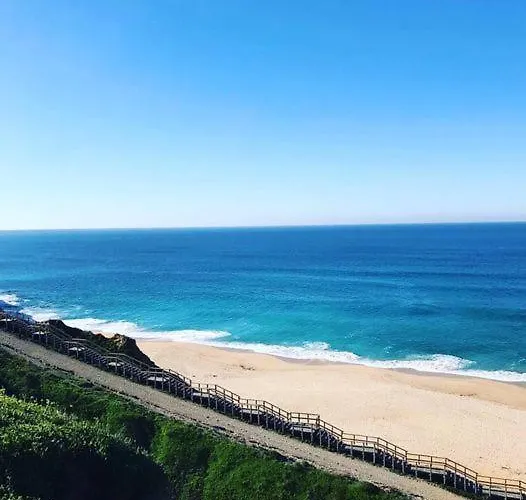 Sublime Sun&van - By Meco